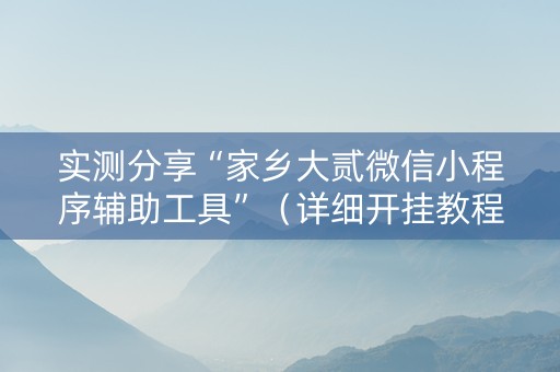 实测分享“家乡大贰微信小程序辅助工具”（详细开挂教程）-哔哩哔哩