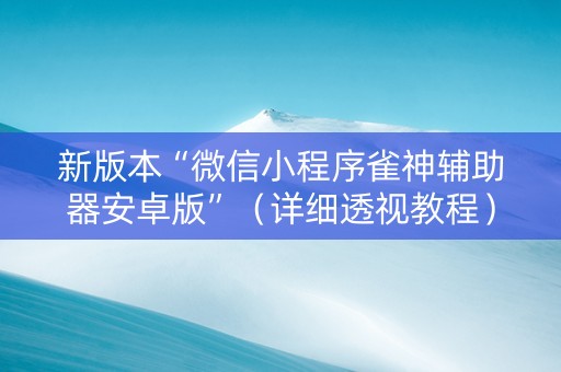 新版本“微信小程序雀神辅助器安卓版”（详细透视教程）-哔哩哔哩