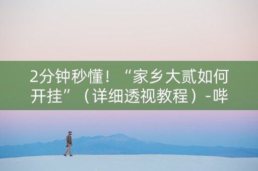 2分钟秒懂！“家乡大贰如何开挂”（详细透视教程）-哔哩哔哩