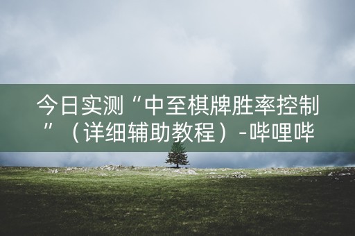 今日实测“中至棋牌胜率控制”（详细辅助教程）-哔哩哔哩