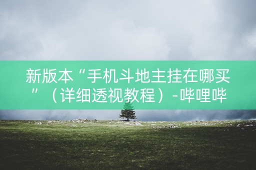 新版本“手机斗地主挂在哪买”（详细透视教程）-哔哩哔哩
