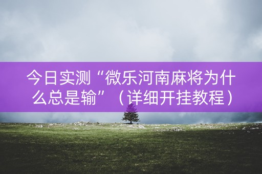 今日实测“微乐河南麻将为什么总是输”（详细开挂教程）-哔哩哔哩
