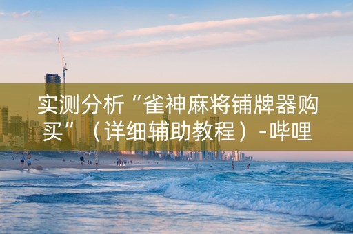 实测分析“雀神麻将铺牌器购买”（详细辅助教程）-哔哩哔哩
