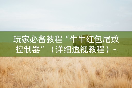 玩家必备教程“牛牛红包尾数控制器”（详细透视教程）-哔哩哔哩
