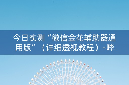 今日实测“微信金花辅助器通用版”（详细透视教程）-哔哩哔哩