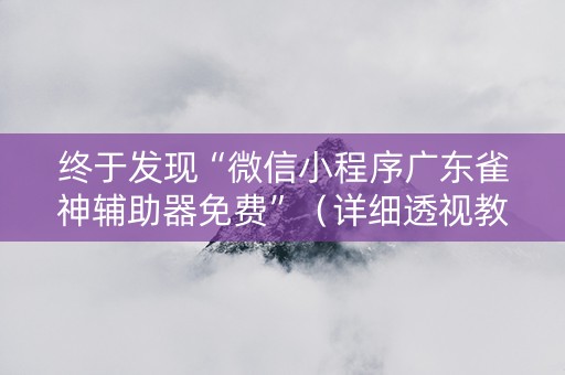 终于发现“微信小程序广东雀神辅助器免费”（详细透视教程）-哔哩哔哩