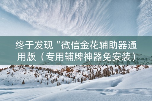 终于发现“微信金花辅助器通用版（专用辅牌神器免安装）