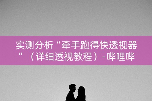 实测分析“牵手跑得快透视器”（详细透视教程）-哔哩哔哩