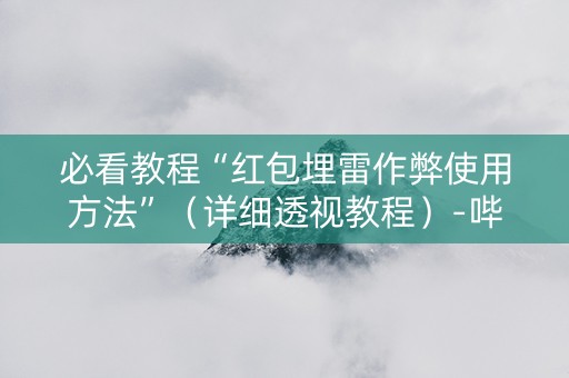 必看教程“红包埋雷作弊使用方法”（详细透视教程）-哔哩哔哩