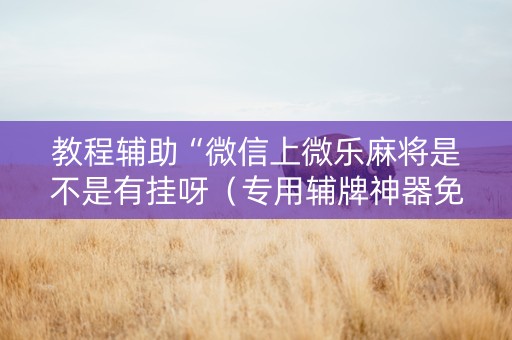 教程辅助“微信上微乐麻将是不是有挂呀（专用辅牌神器免安装）