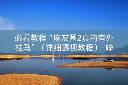 必看教程“麻友圈2真的有外挂马”（详细透视教程）-哔哩哔哩