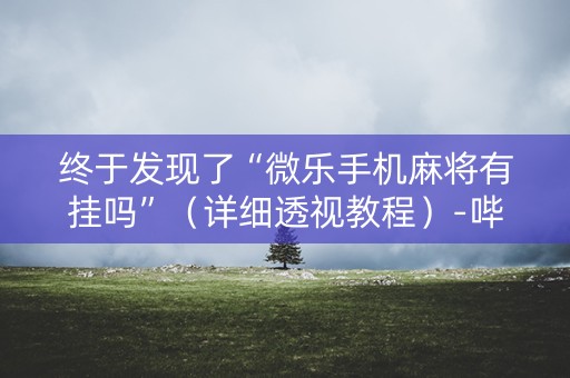 终于发现了“微乐手机麻将有挂吗”（详细透视教程）-哔哩哔哩