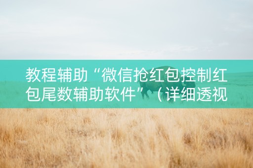 教程辅助“微信抢红包控制红包尾数辅助软件”（详细透视教程）-哔哩哔哩