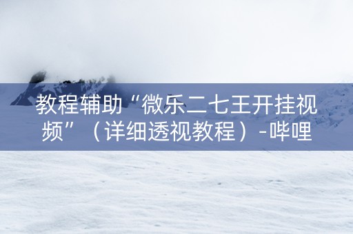 教程辅助“微乐二七王开挂视频”（详细透视教程）-哔哩哔哩