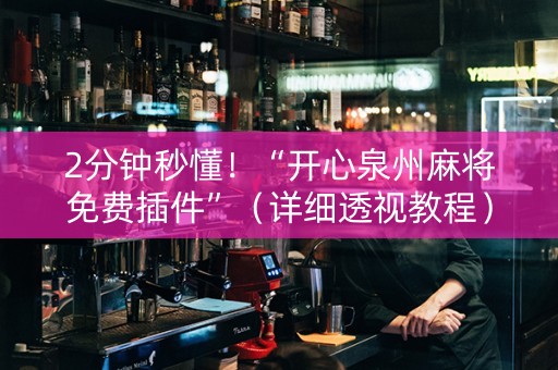 2分钟秒懂！“开心泉州麻将免费插件”（详细透视教程）-哔哩哔哩