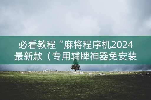 必看教程“麻将程序机2024最新款（专用辅牌神器免安装）