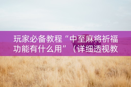 玩家必备教程“中至麻将祈福功能有什么用”（详细透视教程）-哔哩哔哩