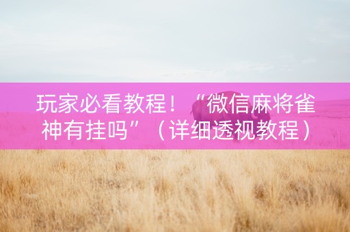 玩家必看教程！“微信麻将雀神有挂吗”（详细透视教程）-哔哩哔哩