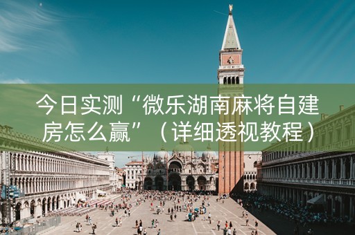 今日实测“微乐湖南麻将自建房怎么赢”（详细透视教程）-哔哩哔哩