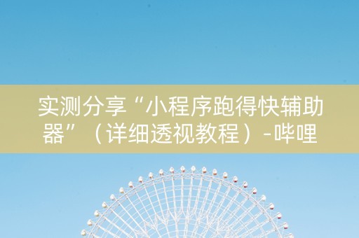 实测分享“小程序跑得快辅助器”（详细透视教程）-哔哩哔哩