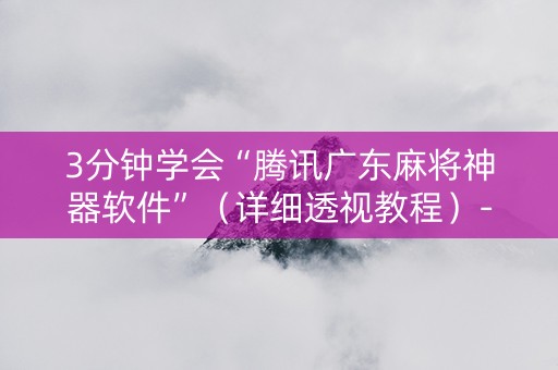 3分钟学会“腾讯广东麻将神器软件”（详细透视教程）-哔哩哔哩
