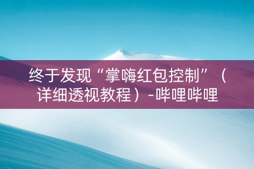 终于发现“掌嗨红包控制”（详细透视教程）-哔哩哔哩