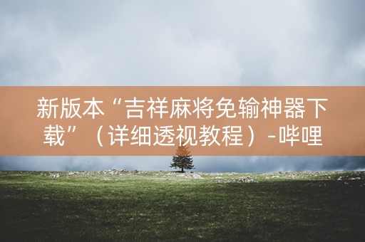 新版本“吉祥麻将免输神器下载”（详细透视教程）-哔哩哔哩