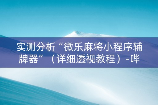 实测分析“微乐麻将小程序辅牌器”（详细透视教程）-哔哩哔哩