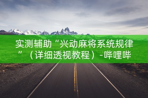 实测辅助“兴动麻将系统规律”（详细透视教程）-哔哩哔哩