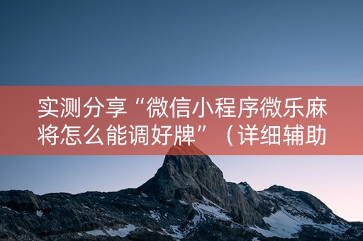 实测分享“微信小程序微乐麻将怎么能调好牌”（详细辅助教程）-哔哩哔哩