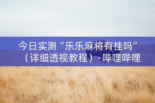 今日实测“乐乐麻将有挂吗”（详细透视教程）-哔哩哔哩