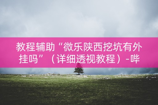 教程辅助“微乐陕西挖坑有外挂吗”（详细透视教程）-哔哩哔哩