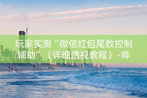 玩家实测“微信红包尾数控制辅助”（详细透视教程）-哔哩哔哩