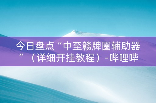 今日盘点“中至赣牌圈辅助器”（详细开挂教程）-哔哩哔哩