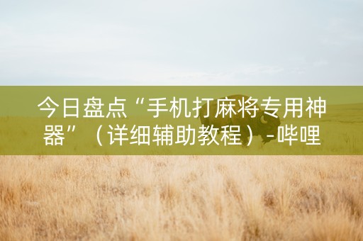 今日盘点“手机打麻将专用神器”（详细辅助教程）-哔哩哔哩