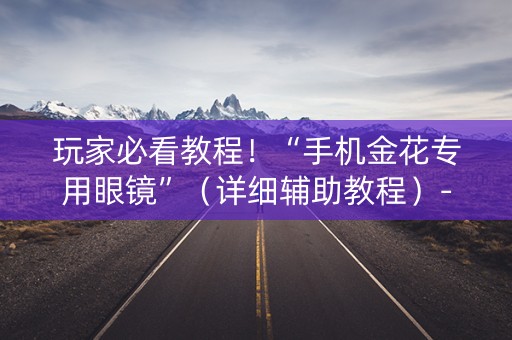 玩家必看教程！“手机金花专用眼镜”（详细辅助教程）-哔哩哔哩
