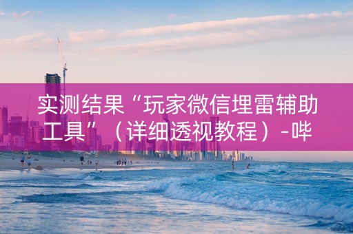 实测结果“玩家微信埋雷辅助工具”（详细透视教程）-哔哩哔哩