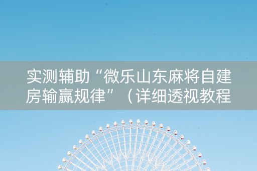 实测辅助“微乐山东麻将自建房输赢规律”（详细透视教程）-哔哩哔哩