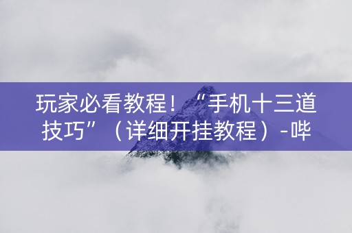 玩家必看教程！“手机十三道技巧”（详细开挂教程）-哔哩哔哩