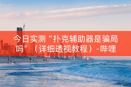 今日实测“扑克辅助器是骗局吗”（详细透视教程）-哔哩哔哩
