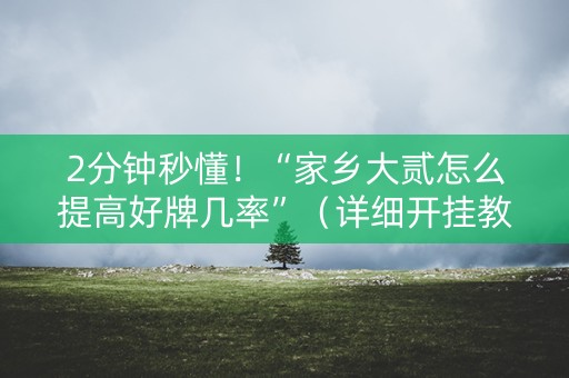 2分钟秒懂！“家乡大贰怎么提高好牌几率”（详细开挂教程）-哔哩哔哩