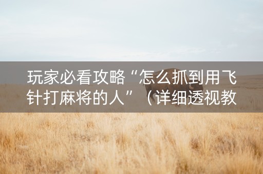 玩家必看攻略“怎么抓到用飞针打麻将的人”（详细透视教程）-哔哩哔哩