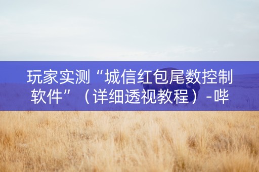 玩家实测“城信红包尾数控制软件”（详细透视教程）-哔哩哔哩