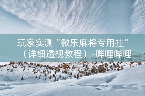 玩家实测“微乐麻将专用挂”（详细透视教程）-哔哩哔哩