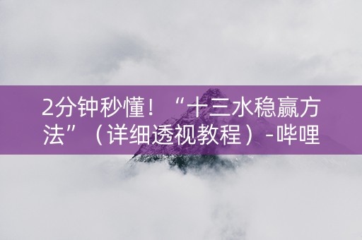 2分钟秒懂！“十三水稳赢方法”（详细透视教程）-哔哩哔哩