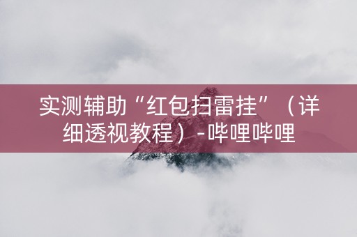 实测辅助“红包扫雷挂”（详细透视教程）-哔哩哔哩
