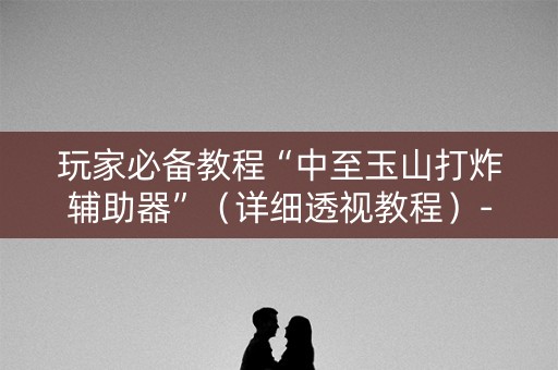 玩家必备教程“中至玉山打炸辅助器”（详细透视教程）-哔哩哔哩