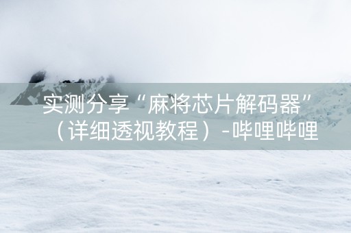 实测分享“麻将芯片解码器”（详细透视教程）-哔哩哔哩