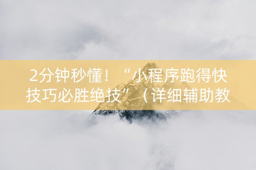 2分钟秒懂！“小程序跑得快技巧必胜绝技”（详细辅助教程）-哔哩哔哩