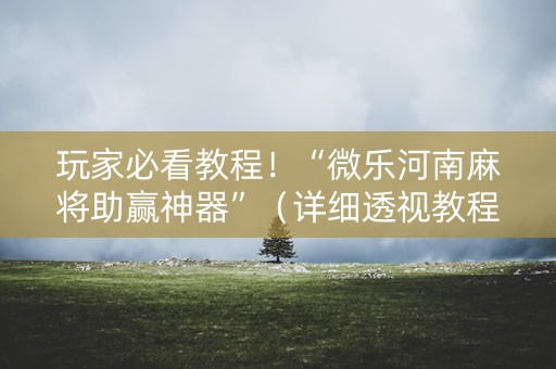 玩家必看教程！“微乐河南麻将助赢神器”（详细透视教程）-哔哩哔哩